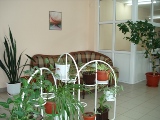 DSC01610.JPG